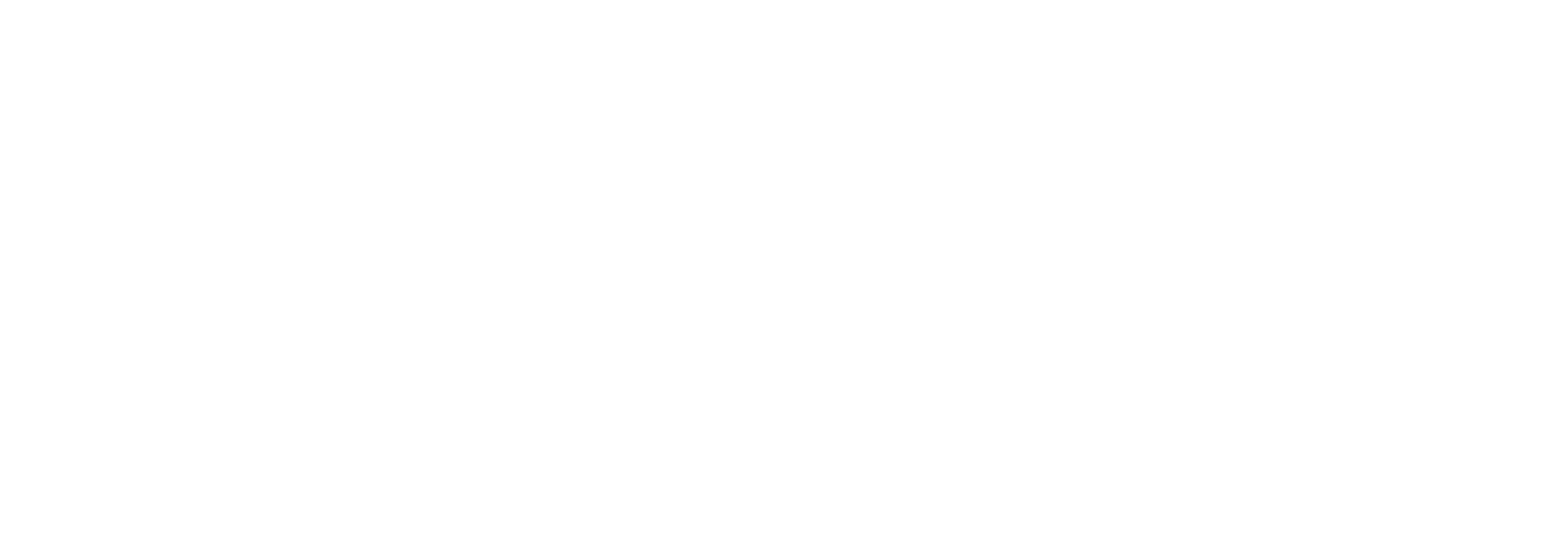 Divisha Makeovers Logo